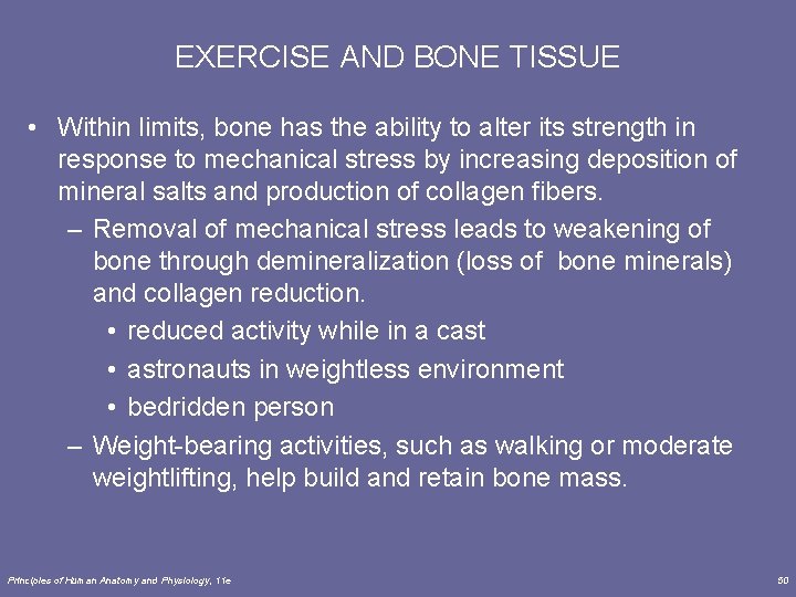EXERCISE AND BONE TISSUE • Within limits, bone has the ability to alter its