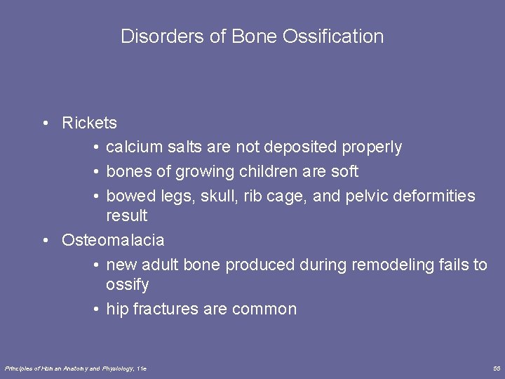 Disorders of Bone Ossification • Rickets • calcium salts are not deposited properly •