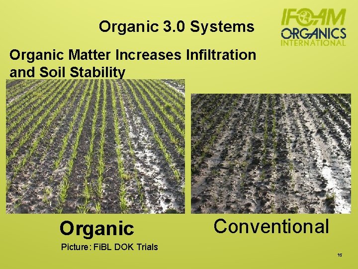 Organic 3. 0 Systems Organic Matter Increases Infiltration and Soil Stability Organic Conventional Picture: