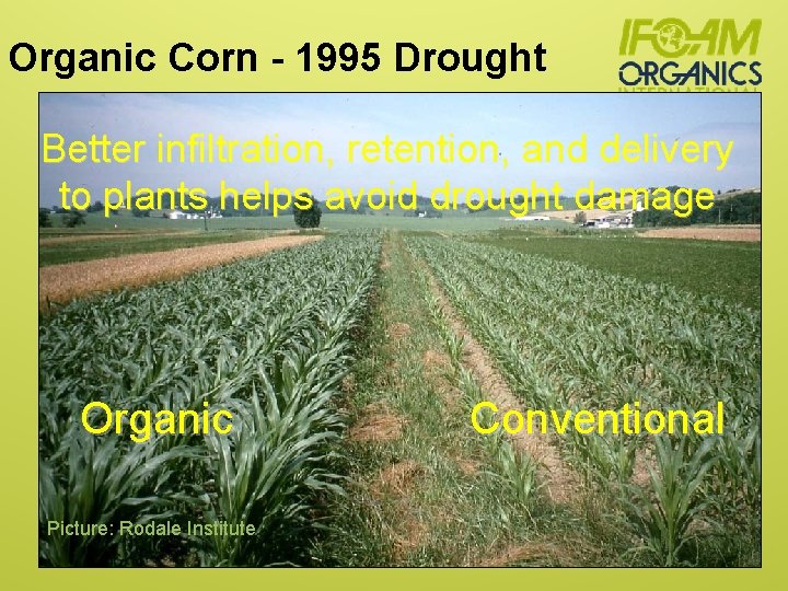 Organic Corn - 1995 Drought Better infiltration, retention, and delivery to plants helps avoid