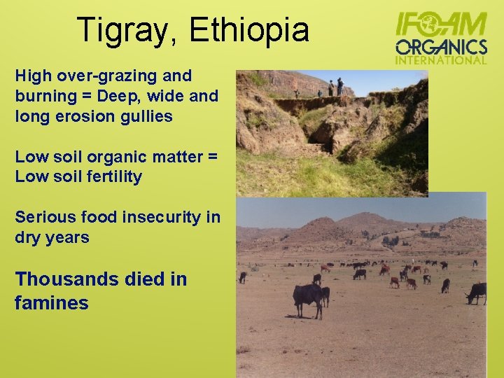 Tigray, Ethiopia High over-grazing and burning = Deep, wide and long erosion gullies Low