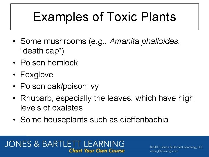 Examples of Toxic Plants • Some mushrooms (e. g. , Amanita phalloides, “death cap”)