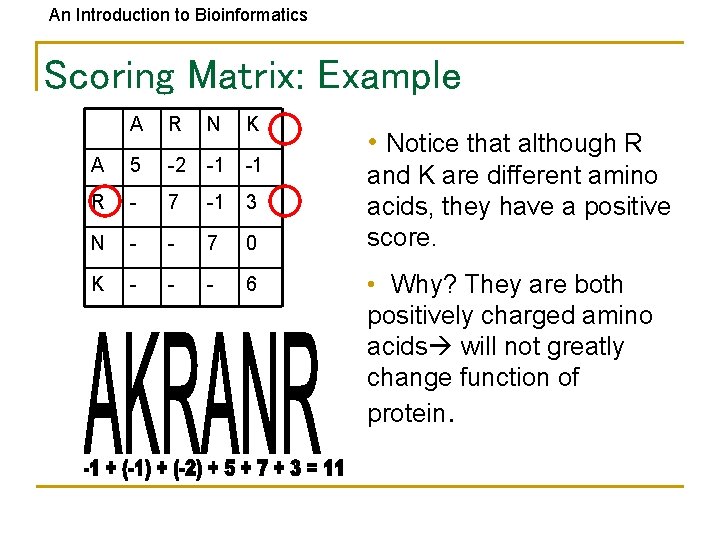 An Introduction to Bioinformatics Scoring Matrix: Example A R N K A 5 -2