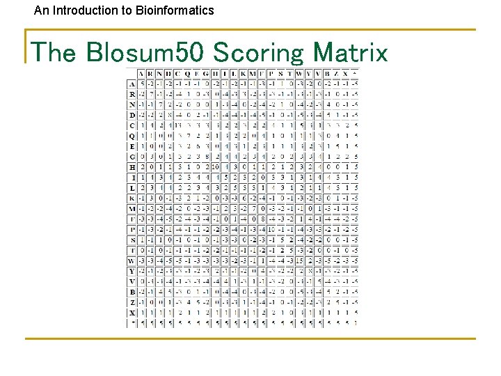 An Introduction to Bioinformatics The Blosum 50 Scoring Matrix 