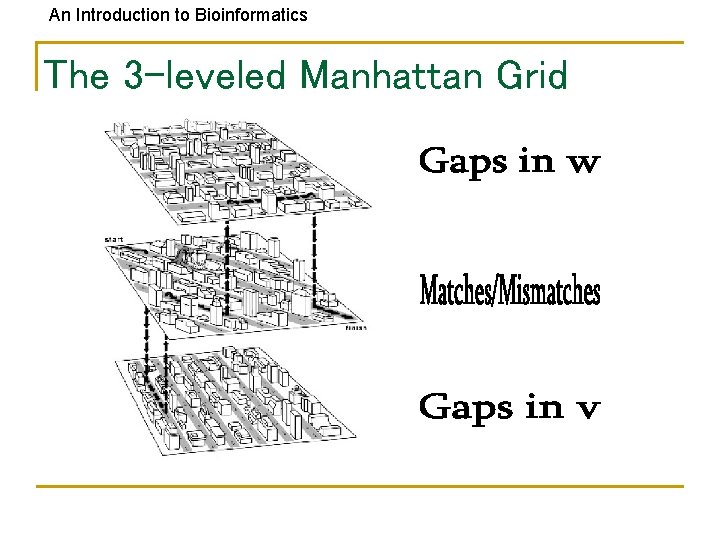 An Introduction to Bioinformatics The 3 -leveled Manhattan Grid 