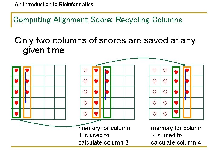 An Introduction to Bioinformatics Computing Alignment Score: Recycling Columns Only two columns of scores