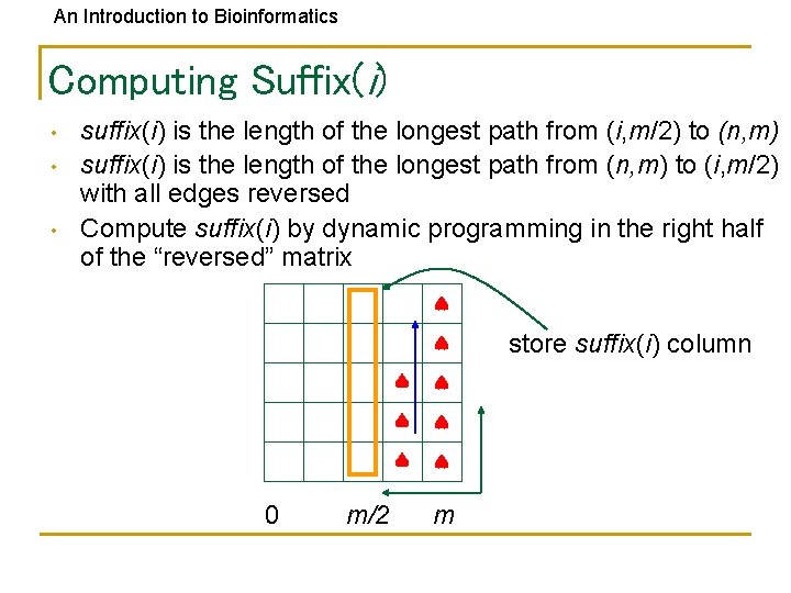 An Introduction to Bioinformatics Computing Suffix(i) • • • suffix(i) is the length of