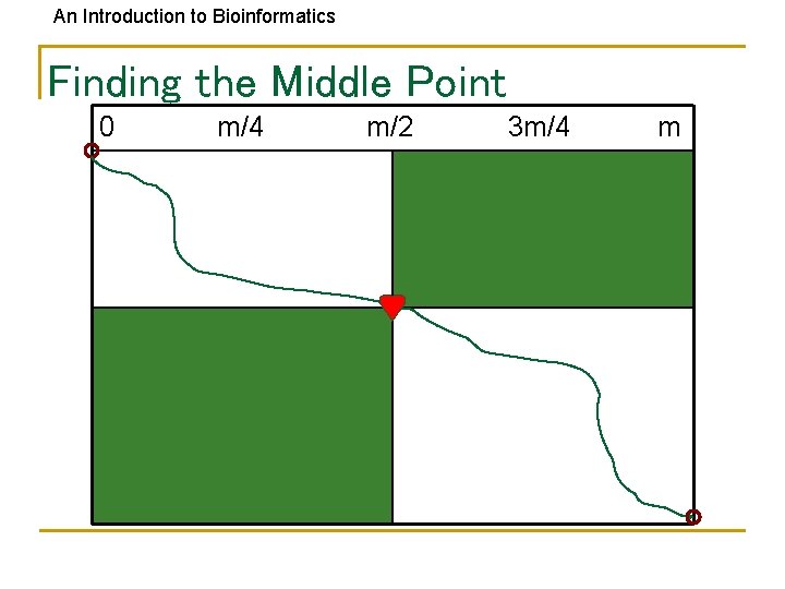 An Introduction to Bioinformatics Finding the Middle Point 0 m/4 m/2 3 m/4 m