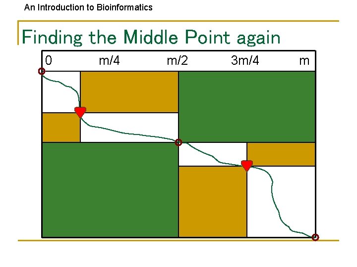 An Introduction to Bioinformatics Finding the Middle Point again 0 m/4 m/2 3 m/4