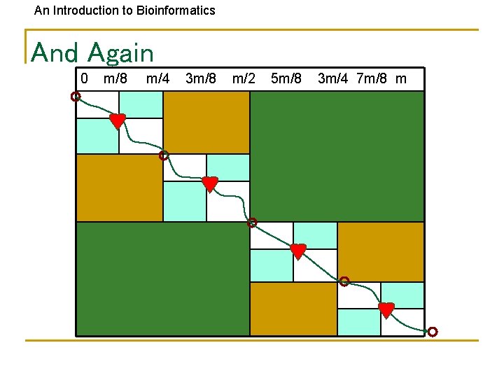 An Introduction to Bioinformatics And Again 0 m/8 m/4 3 m/8 m/2 5 m/8