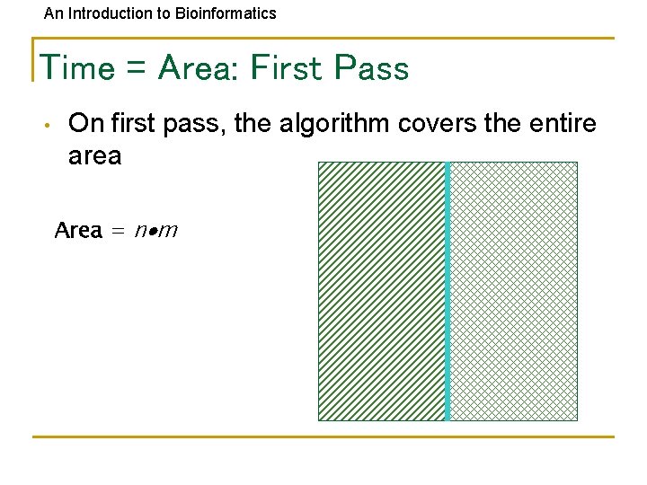 An Introduction to Bioinformatics Time = Area: First Pass • On first pass, the