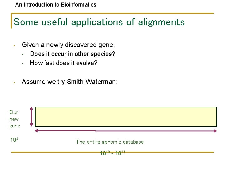 An Introduction to Bioinformatics Some useful applications of alignments • Given a newly discovered