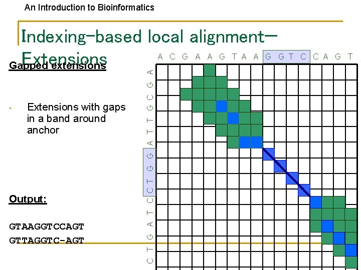An Introduction to Bioinformatics • Extensions with gaps in a band around anchor Output: