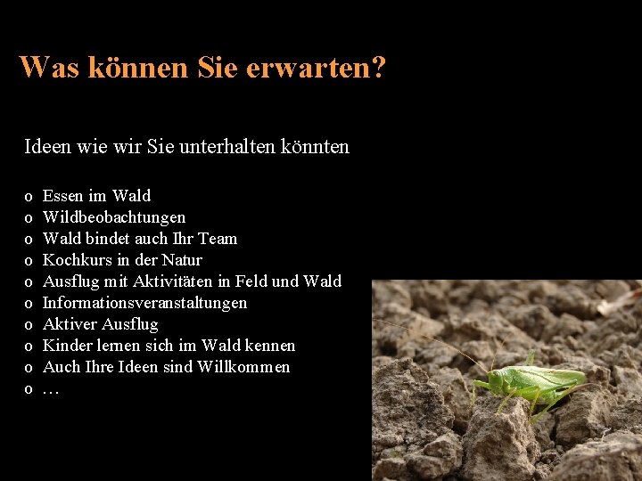 Was können Sie erwarten? Ideen wie wir Sie unterhalten könnten o Essen im Wald