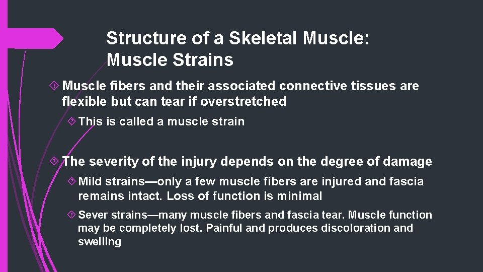 Structure of a Skeletal Muscle: Muscle Strains Muscle fibers and their associated connective tissues