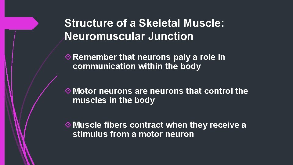 Structure of a Skeletal Muscle: Neuromuscular Junction Remember that neurons paly a role in