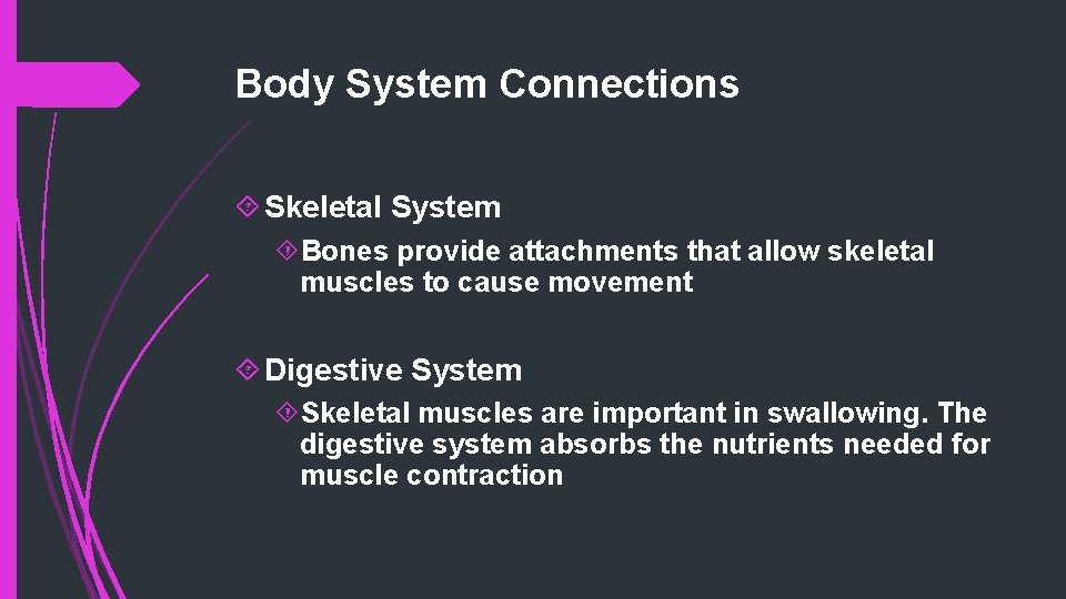 Body System Connections Skeletal System Bones provide attachments that allow skeletal muscles to cause