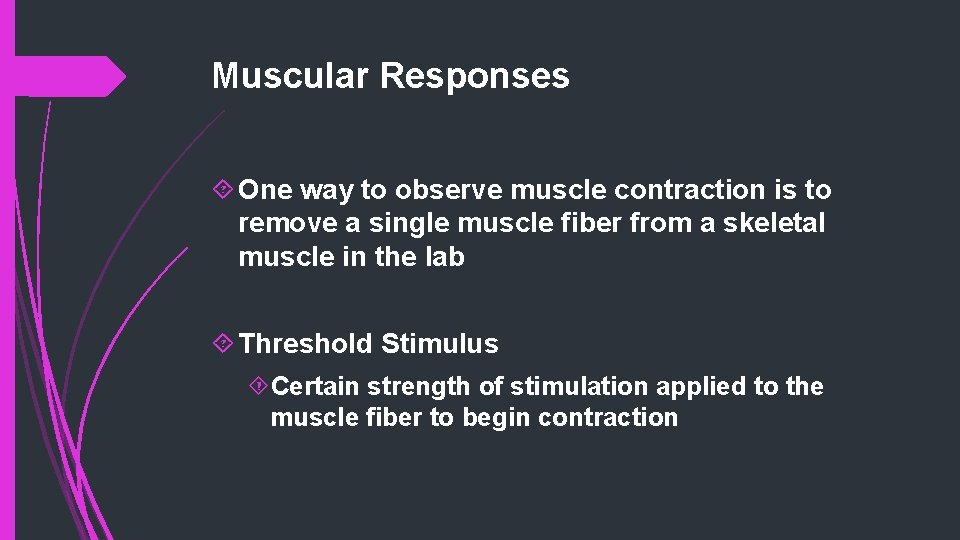 Muscular Responses One way to observe muscle contraction is to remove a single muscle