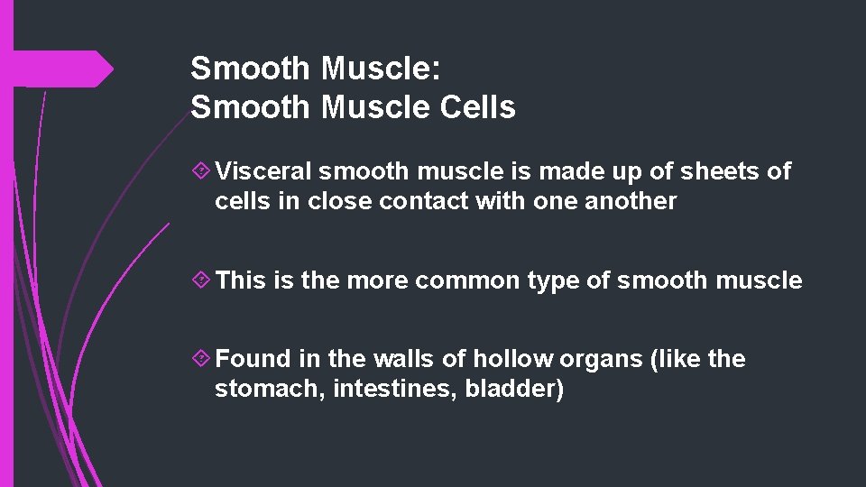 Smooth Muscle: Smooth Muscle Cells Visceral smooth muscle is made up of sheets of