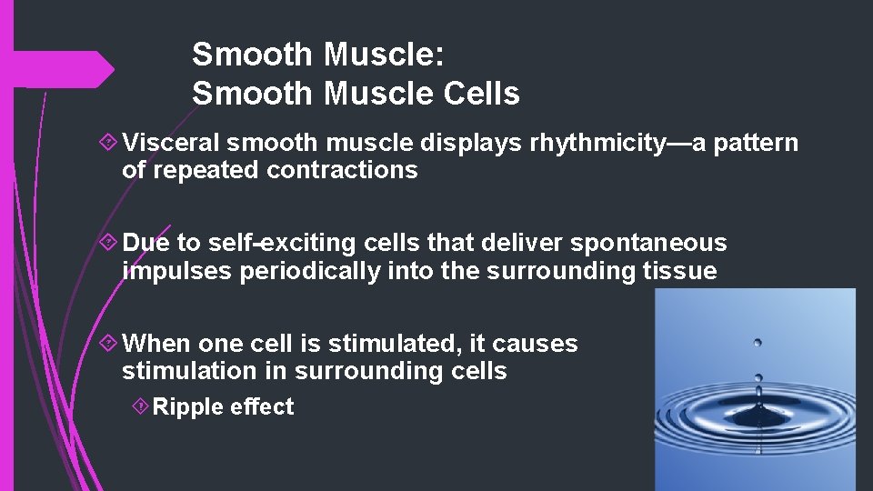 Smooth Muscle: Smooth Muscle Cells Visceral smooth muscle displays rhythmicity—a pattern of repeated contractions