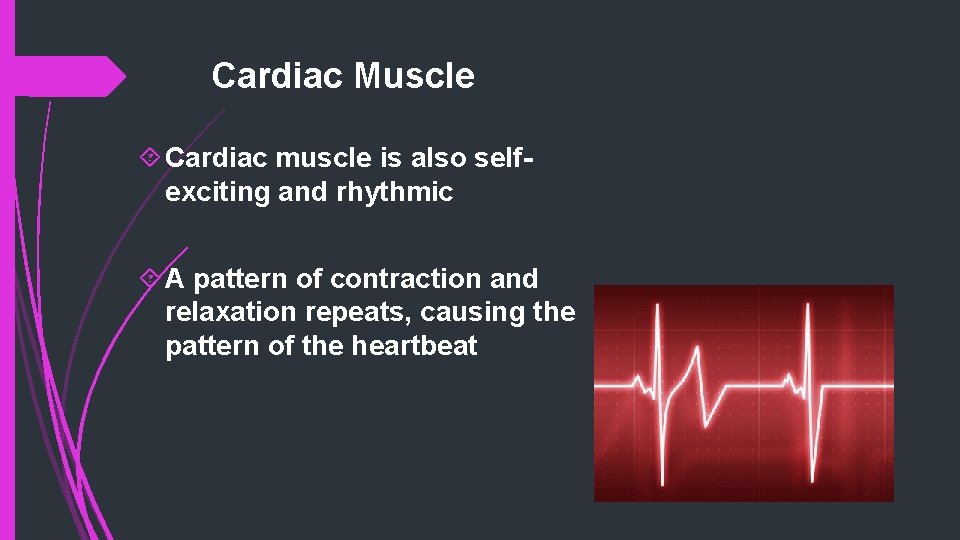 Cardiac Muscle Cardiac muscle is also selfexciting and rhythmic A pattern of contraction and