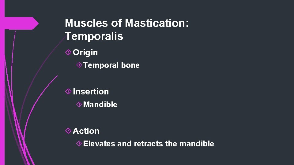 Muscles of Mastication: Temporalis Origin Temporal bone Insertion Mandible Action Elevates and retracts the