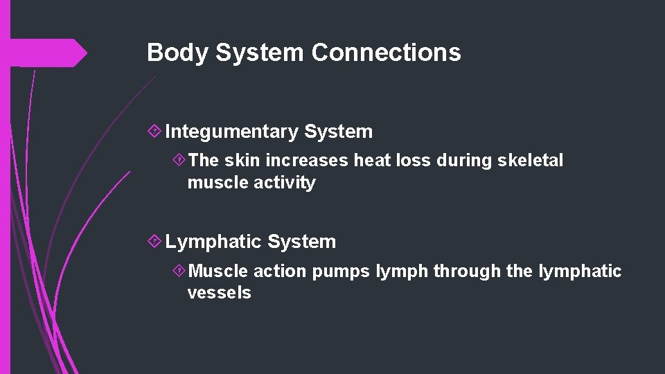 Body System Connections Integumentary System The skin increases heat loss during skeletal muscle activity