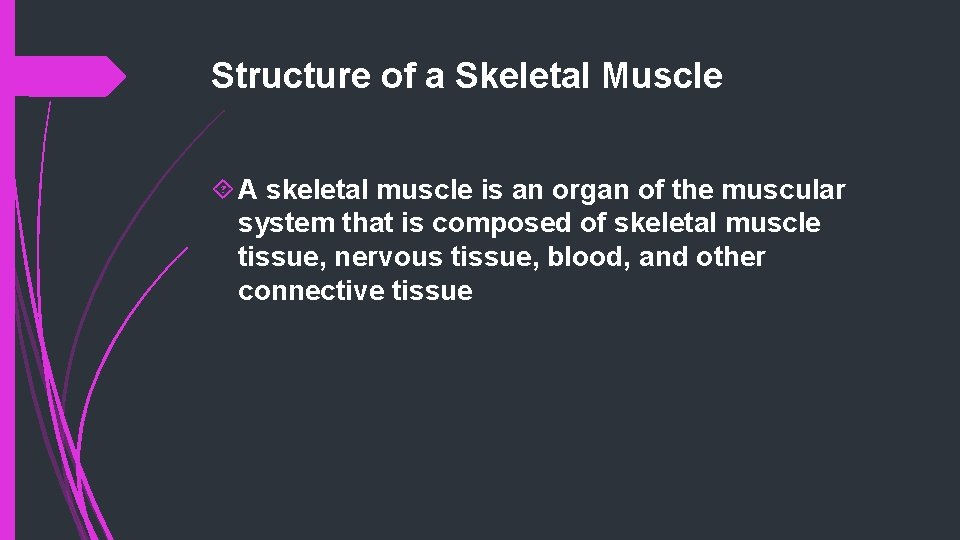 Structure of a Skeletal Muscle A skeletal muscle is an organ of the muscular