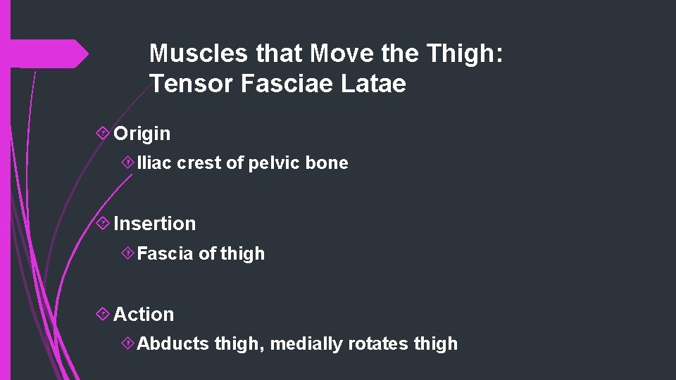 Muscles that Move the Thigh: Tensor Fasciae Latae Origin Iliac crest of pelvic bone