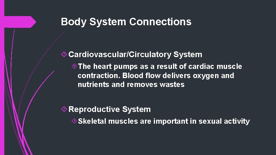 Body System Connections Cardiovascular/Circulatory System The heart pumps as a result of cardiac muscle