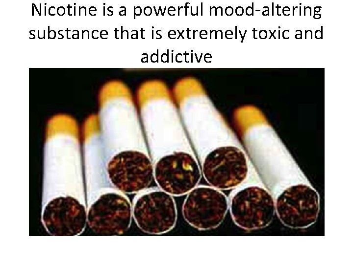 Nicotine is a powerful mood-altering substance that is extremely toxic and addictive 