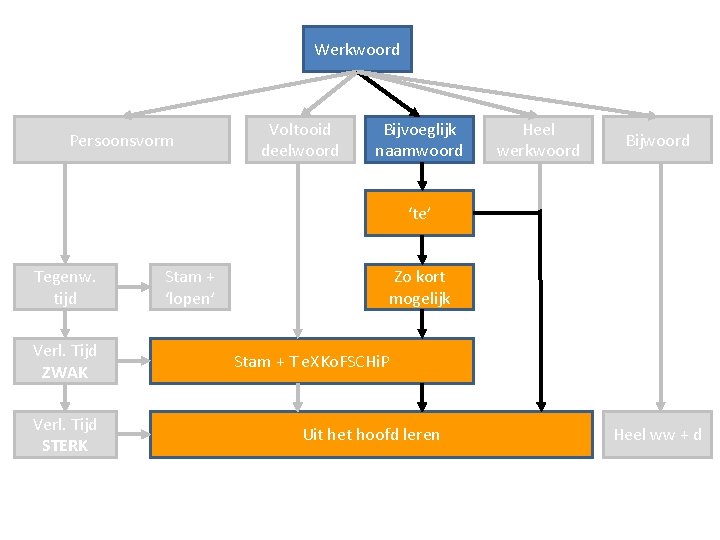 Werkwoord Persoonsvorm Voltooid deelwoord Bijvoeglijk naamwoord Heel werkwoord Bijwoord ‘te’ Tegenw. tijd Verl. Tijd