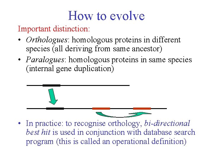 How to evolve Important distinction: • Orthologues: homologous proteins in different species (all deriving