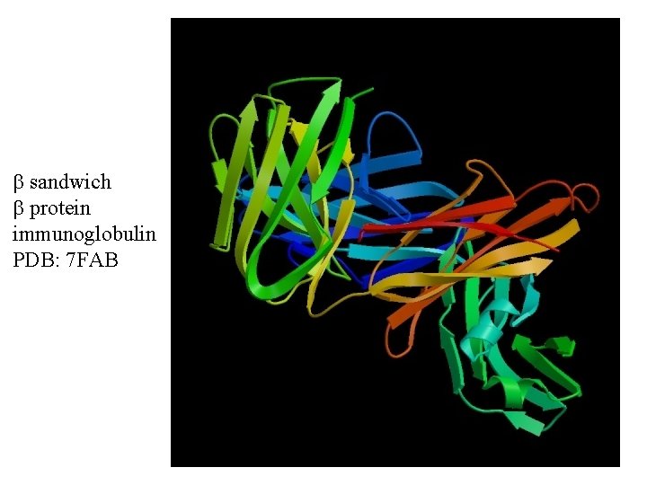  sandwich protein immunoglobulin PDB: 7 FAB 