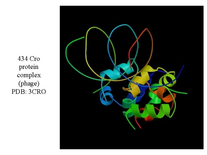 434 Cro protein complex (phage) PDB: 3 CRO 