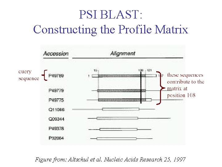 PSI BLAST: Constructing the Profile Matrix Figure from: Altschul et al. Nucleic Acids Research