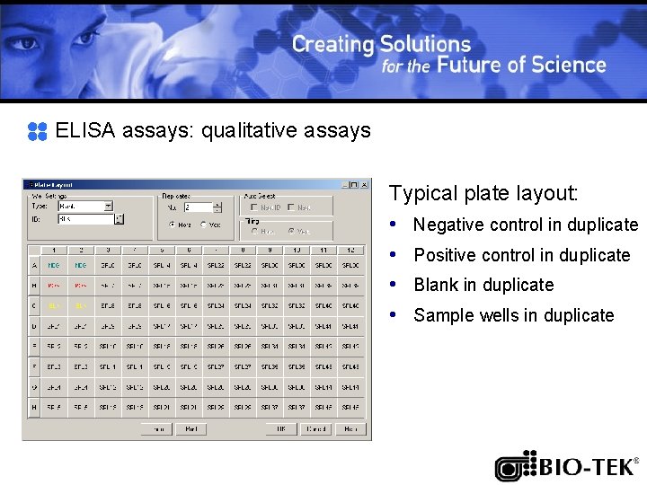 ELISA assays: qualitative assays Typical plate layout: • Negative control in duplicate • Positive