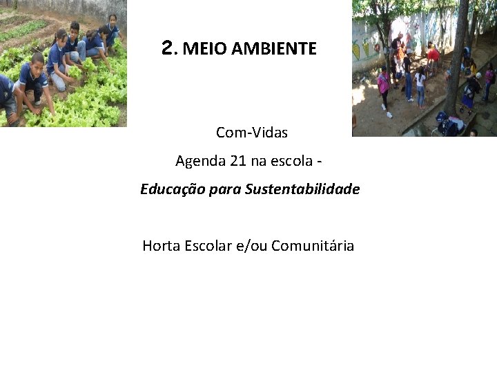 2. MEIO AMBIENTE Com-Vidas Agenda 21 na escola Educação para Sustentabilidade Horta Escolar e/ou