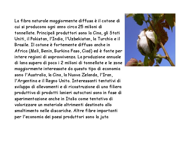 La fibra naturale maggiormente diffusa è il cotone di cui si producono ogni anno