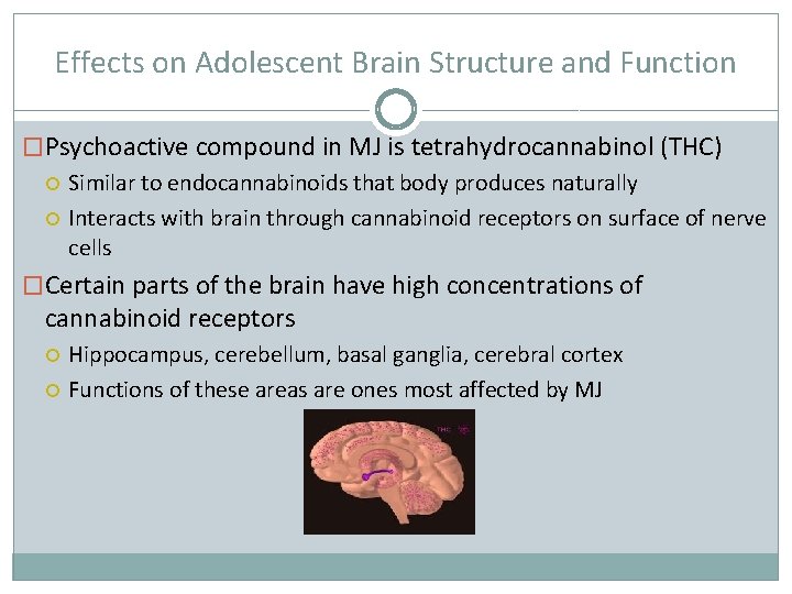 Effects on Adolescent Brain Structure and Function �Psychoactive compound in MJ is tetrahydrocannabinol (THC)