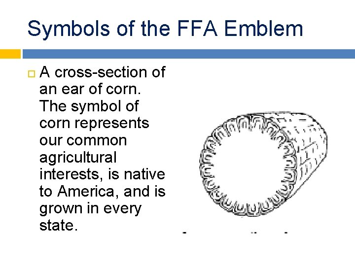 Symbols of the FFA Emblem A cross-section of an ear of corn. The symbol