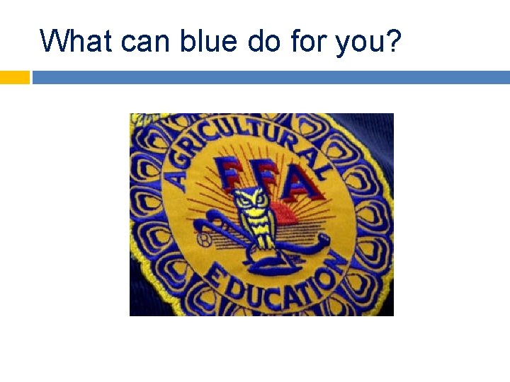 What can blue do for you? 