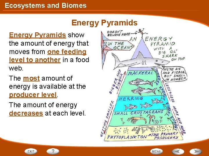 Ecosystems and Biomes Energy Pyramids show the amount of energy that moves from one