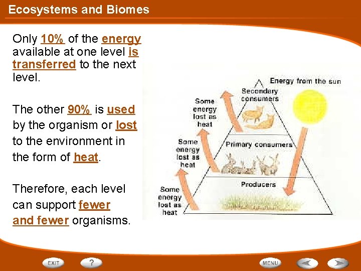 Ecosystems and Biomes Only 10% of the energy available at one level is transferred