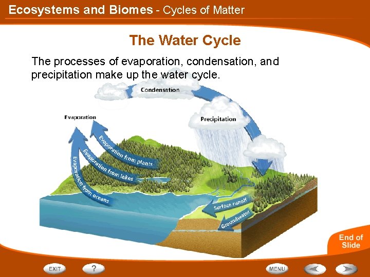 Ecosystems and Biomes - Cycles of Matter The Water Cycle The processes of evaporation,
