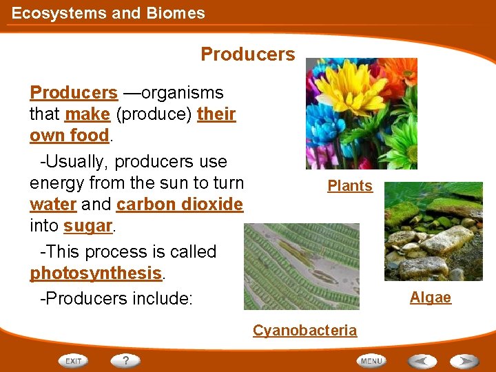 Ecosystems and Biomes Producers —organisms that make (produce) their own food. -Usually, producers use