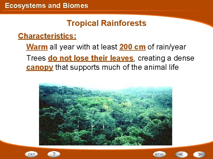 Ecosystems and Biomes Tropical Rainforests Characteristics: Warm all year with at least 200 cm