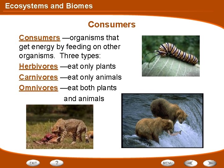 Ecosystems and Biomes Consumers —organisms that get energy by feeding on other organisms. Three