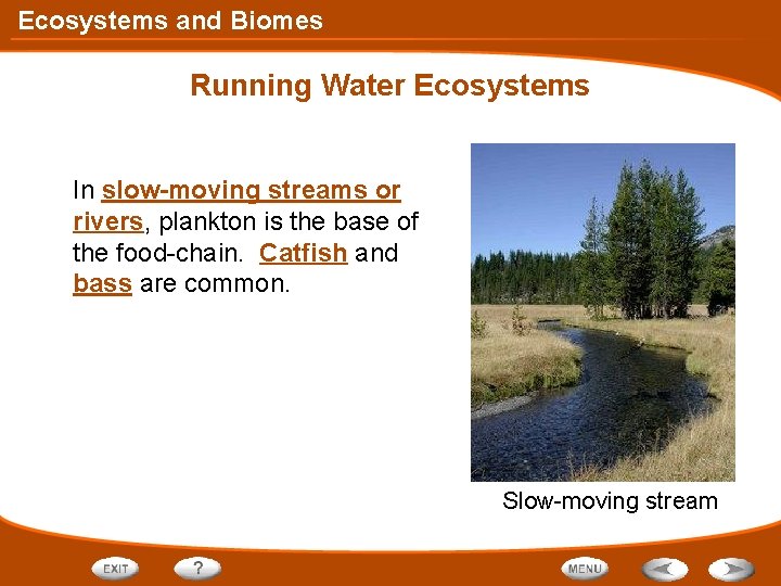 Ecosystems and Biomes Running Water Ecosystems In slow-moving streams or rivers, plankton is the