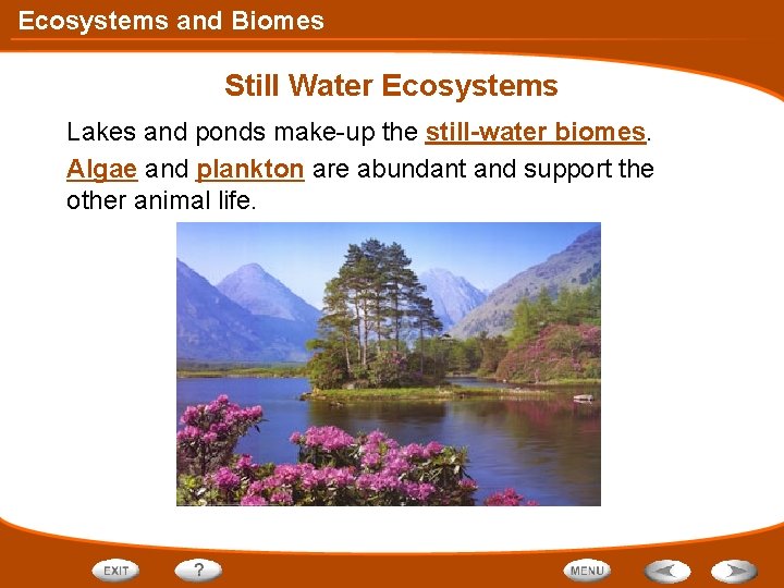 Ecosystems and Biomes Still Water Ecosystems Lakes and ponds make-up the still-water biomes. Algae